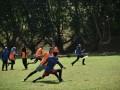 Tn dsc 0715